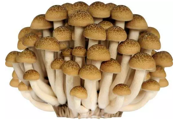 http://www.yitaibj.cn/ewebeditor/uploadfile/20170914091421667001.png